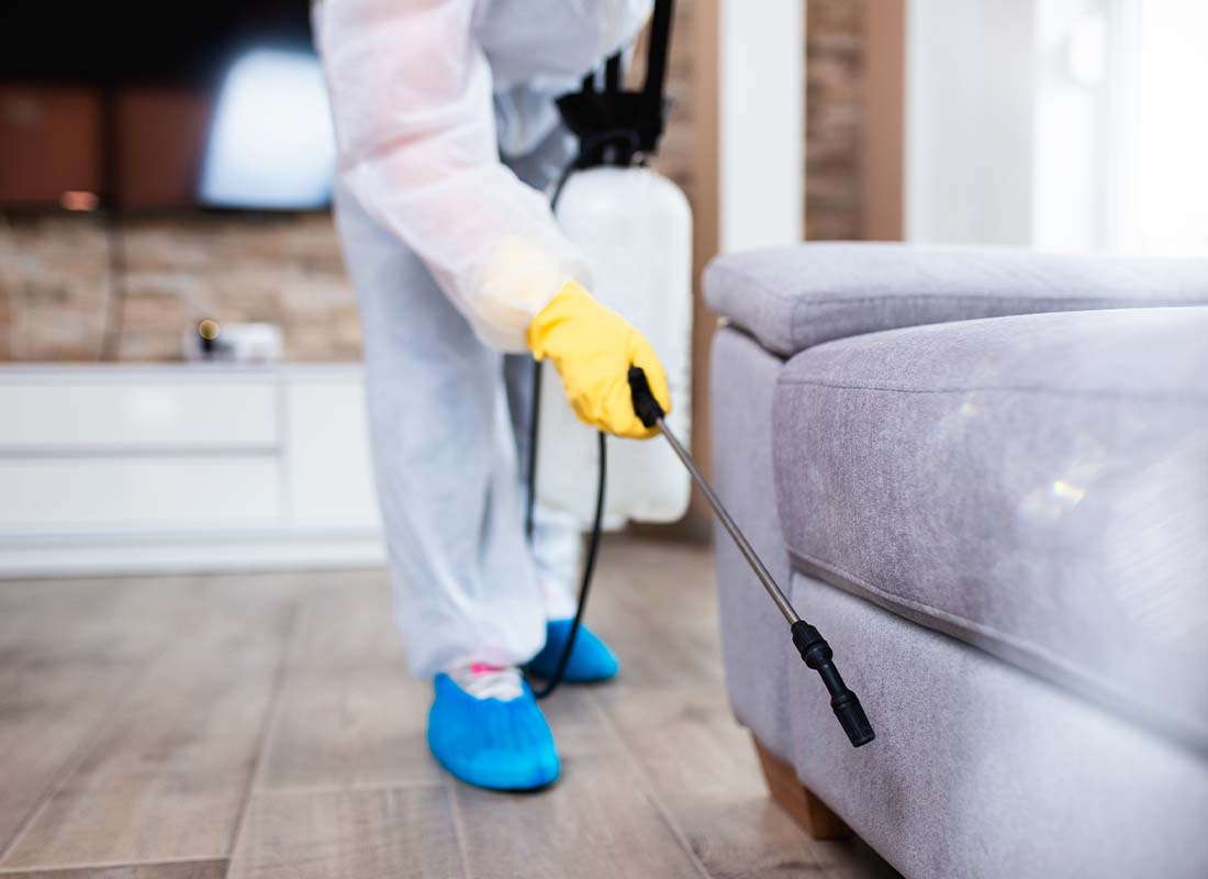 Pest Control Services in Little Elm, Texas: Protecting Your Home and Business from Unwanted Intruders